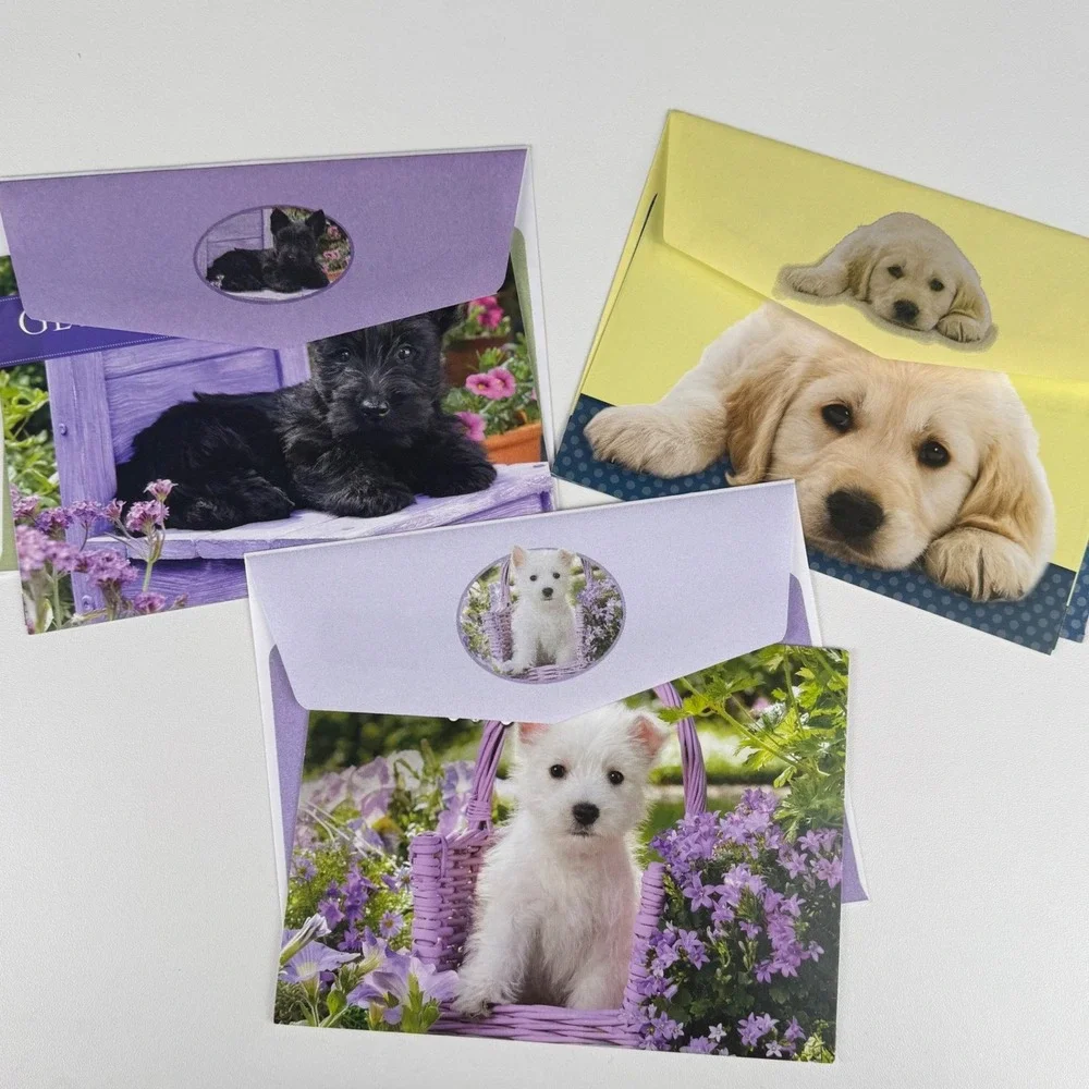 Jane Burton Puppy Get Well Soon Greeting‎ Cards Set of 3 with Envelopes USA Made